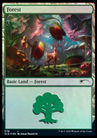 Forest (Predatory) (578) [Secret Lair Drop Promos] | Dumpster Cat Games