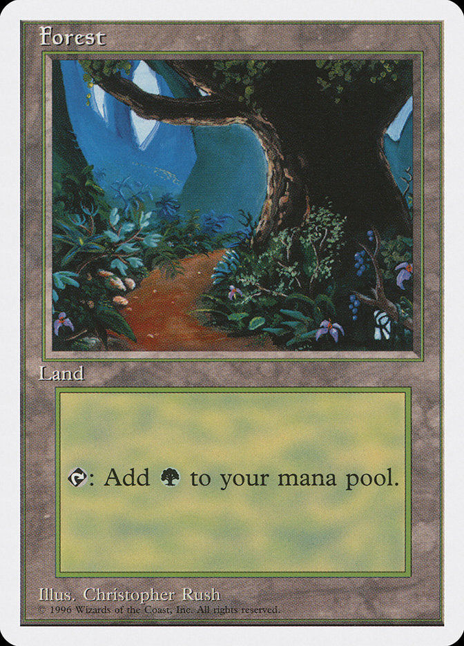 Forest (Dirt Path) [Introductory Two-Player Set] | Dumpster Cat Games