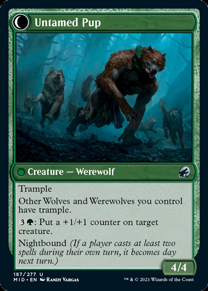 Hound Tamer // Untamed Pup [Innistrad: Midnight Hunt] | Dumpster Cat Games