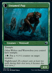 Hound Tamer // Untamed Pup [Innistrad: Midnight Hunt] | Dumpster Cat Games