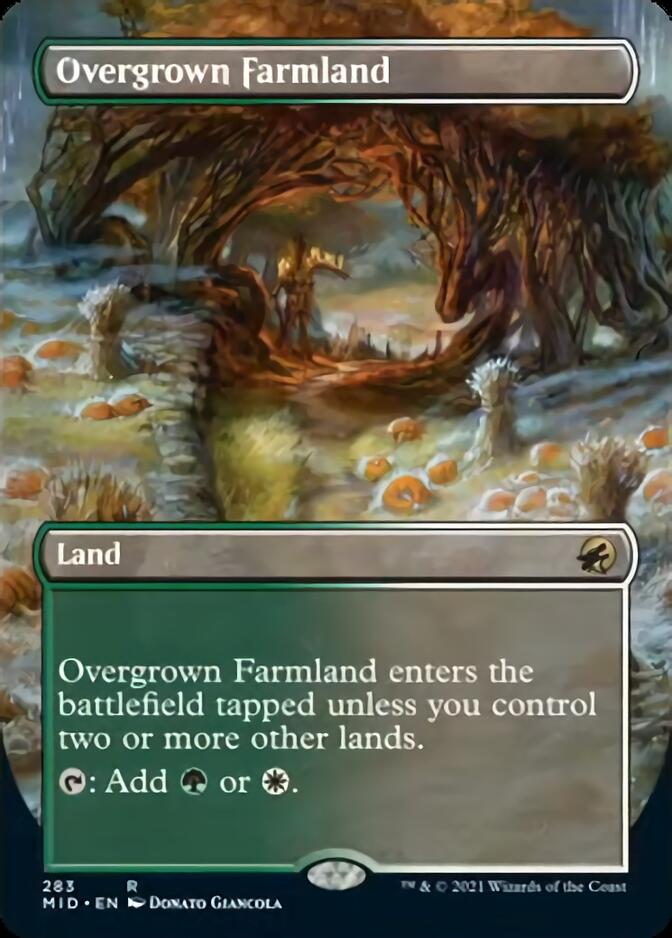 Overgrown Farmland (Borderless Alternate Art) [Innistrad: Midnight Hunt] | Dumpster Cat Games