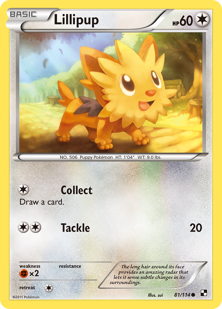 Lillipup (81/114) [Black & White: Base Set] | Dumpster Cat Games