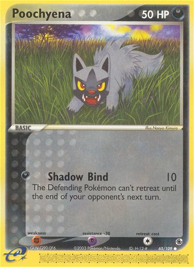 Poochyena (65/109) [EX: Ruby & Sapphire] | Dumpster Cat Games