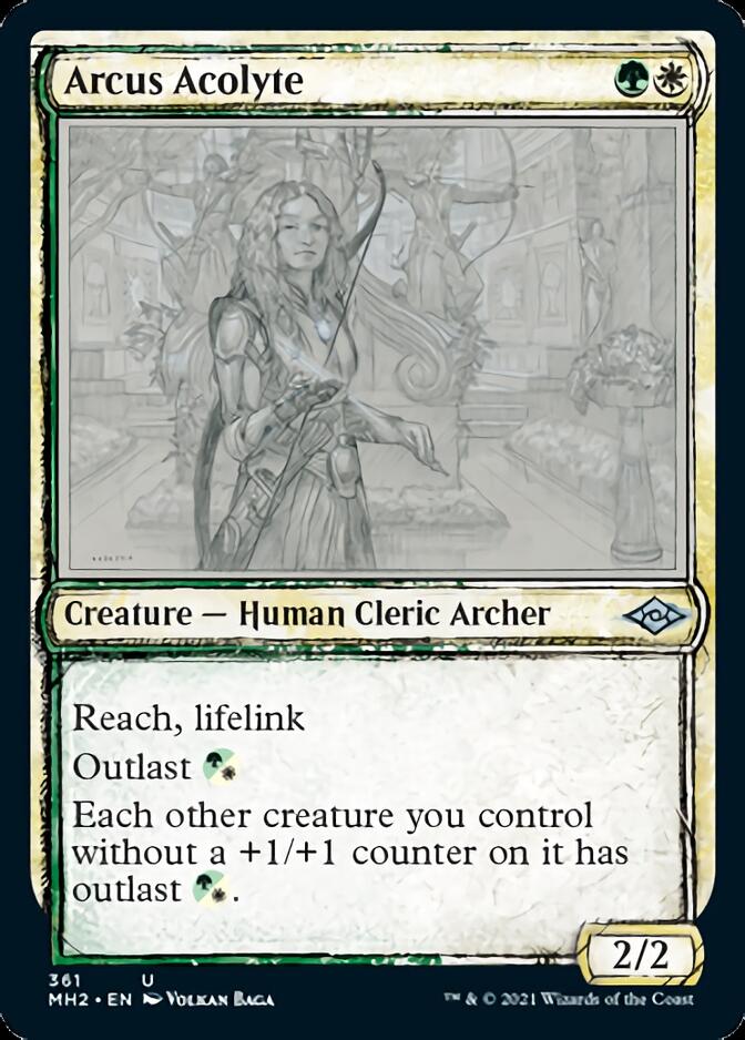 Arcus Acolyte (Sketch) [Modern Horizons 2] | Dumpster Cat Games