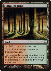 Fungal Reaches [Time Spiral] | Dumpster Cat Games