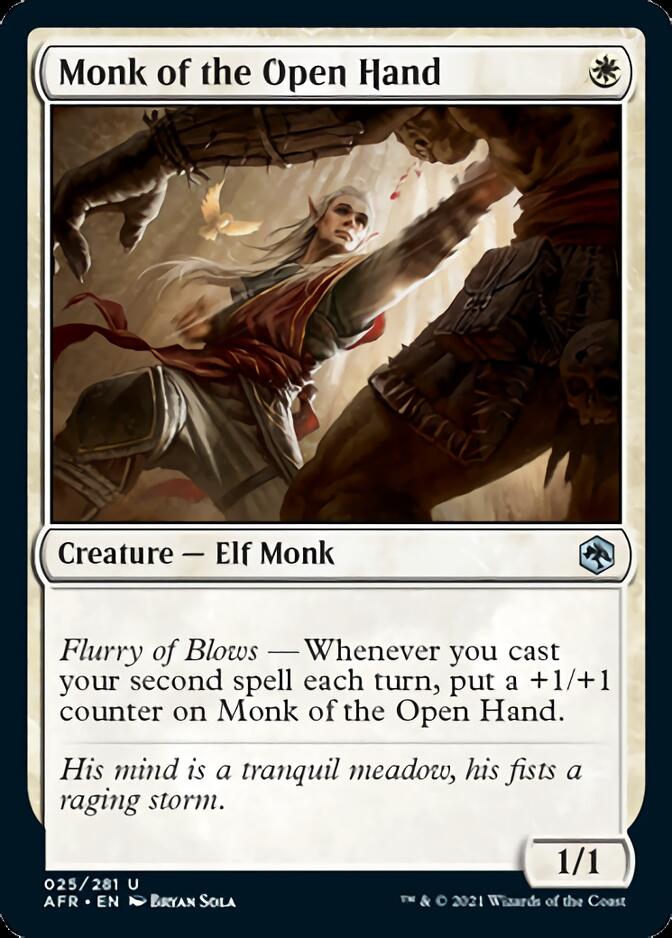 Monk of the Open Hand [Dungeons & Dragons: Adventures in the Forgotten Realms] | Dumpster Cat Games