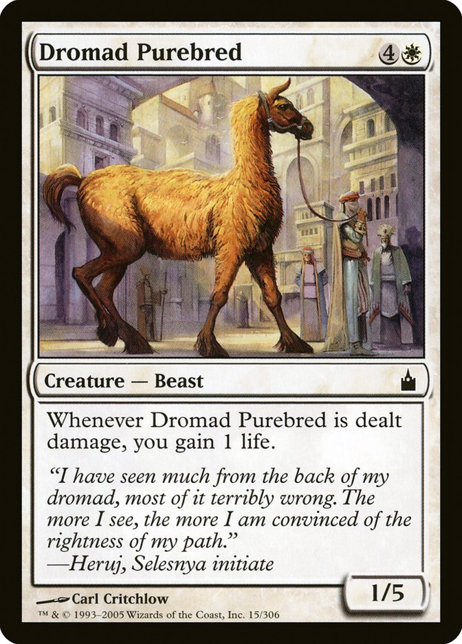 Dromad Purebred [Ravnica: City of Guilds] | Dumpster Cat Games