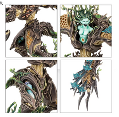 Drycha Hamadreth | Dumpster Cat Games