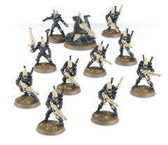 Black Guardians | Dumpster Cat Games