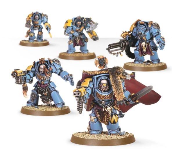 Wolf Guard Terminators | Dumpster Cat Games