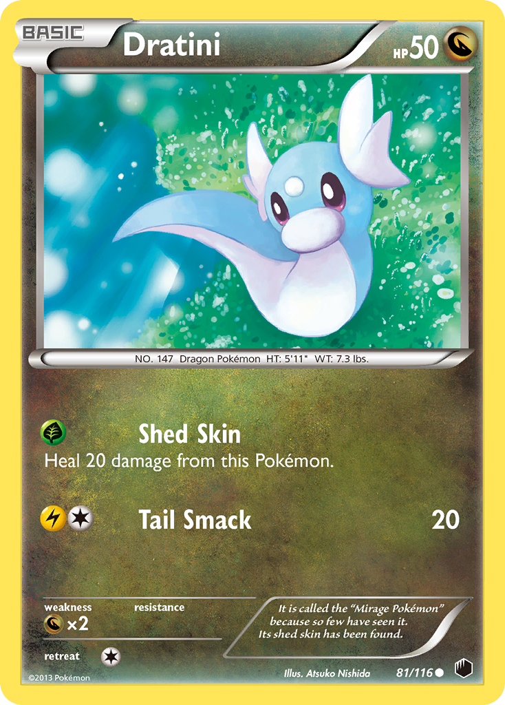 Dratini (81/116) [Black & White: Plasma Freeze] | Dumpster Cat Games