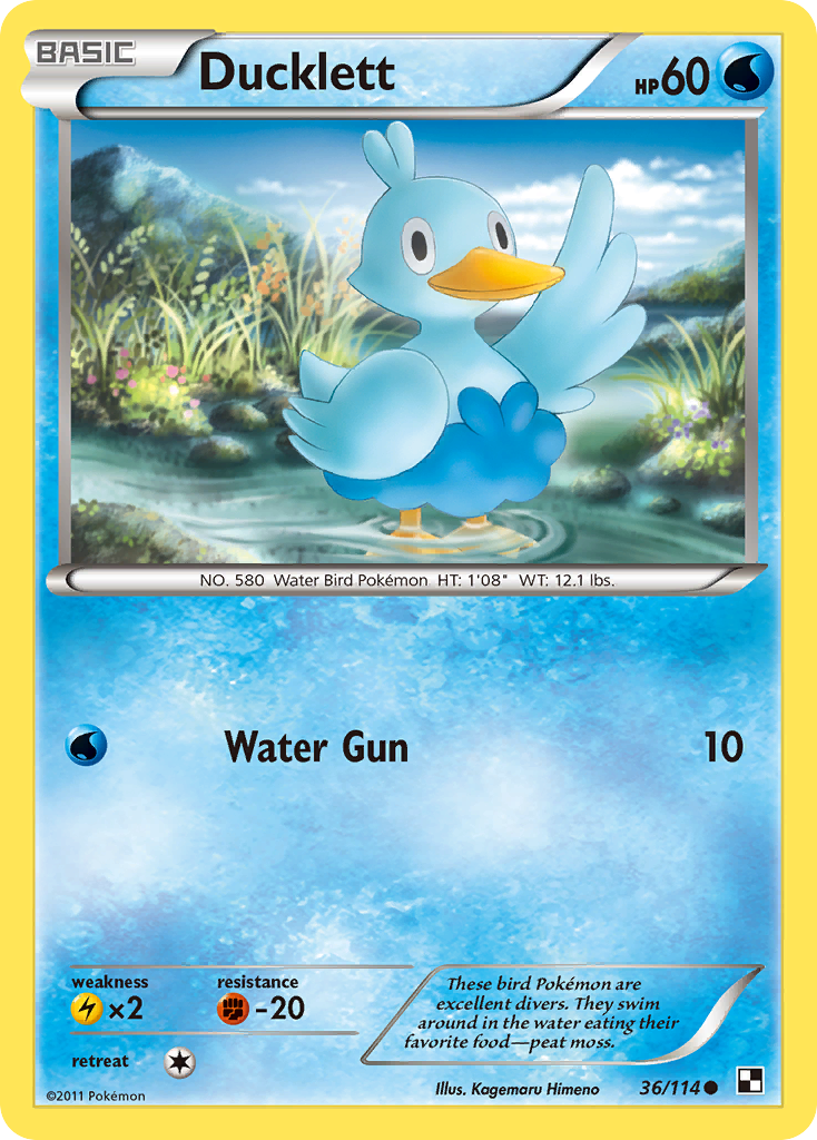 Ducklett (36/114) [Black & White: Base Set] | Dumpster Cat Games