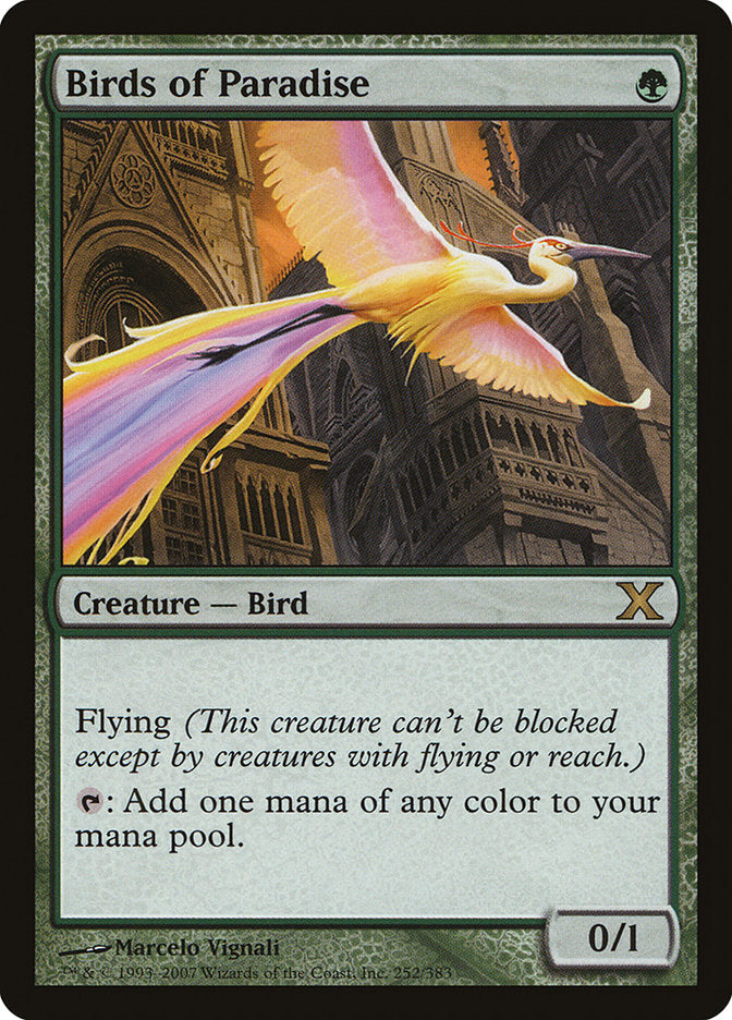 Birds of Paradise [Tenth Edition] | Dumpster Cat Games