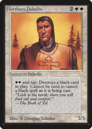 Northern Paladin [Limited Edition Beta] | Dumpster Cat Games