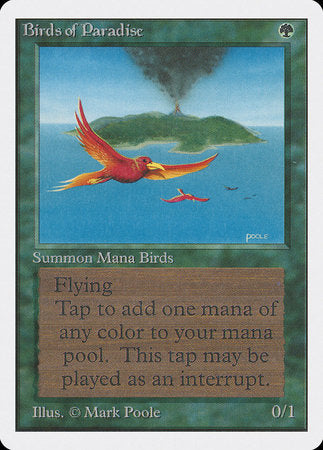 Birds of Paradise [Unlimited Edition] | Dumpster Cat Games