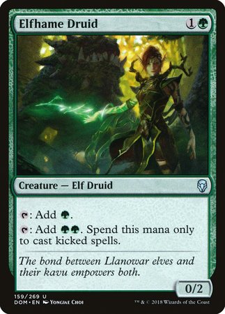 Elfhame Druid [Dominaria] | Dumpster Cat Games