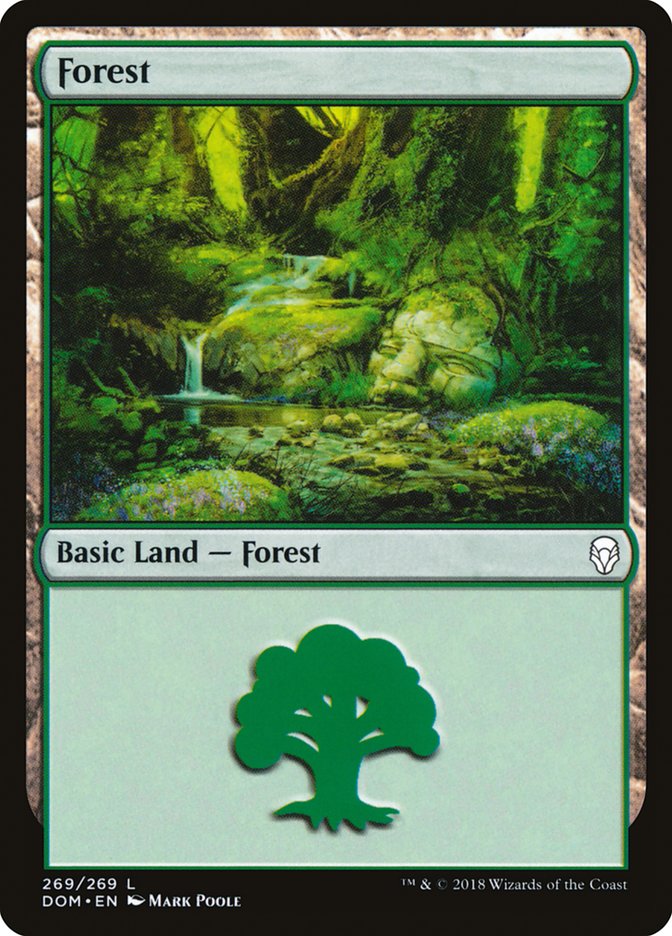 Forest (269) [Dominaria] | Dumpster Cat Games