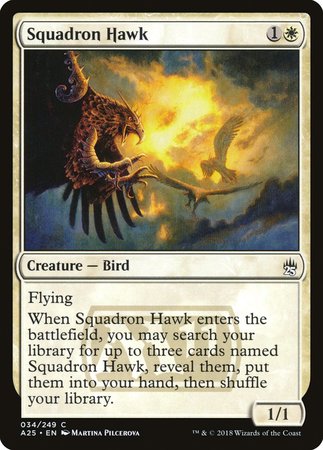Squadron Hawk [Masters 25] | Dumpster Cat Games