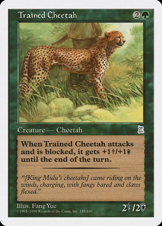 Trained Cheetah [Portal Three Kingdoms] | Dumpster Cat Games