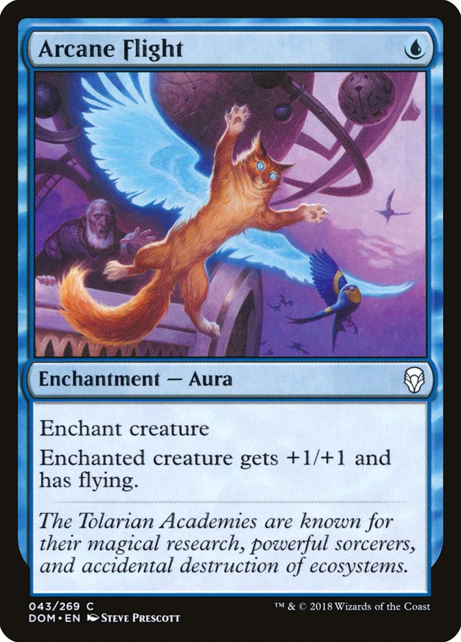 Arcane Flight [Dominaria] | Dumpster Cat Games