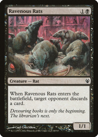 Ravenous Rats [Duel Decks: Izzet vs. Golgari] | Dumpster Cat Games