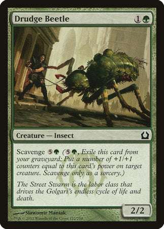 Drudge Beetle [Return to Ravnica] | Dumpster Cat Games