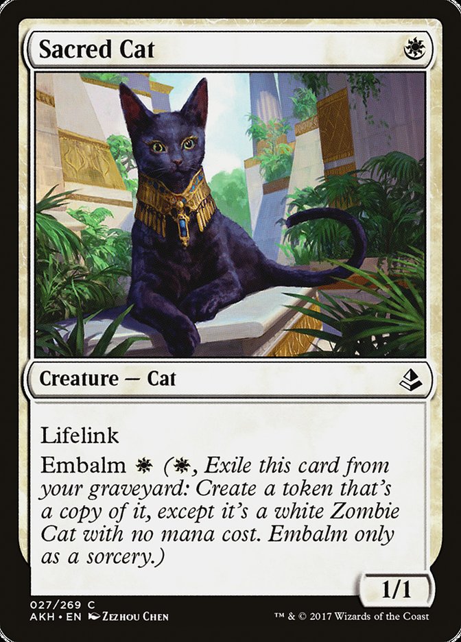 Sacred Cat [Amonkhet] | Dumpster Cat Games